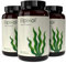 Elpixol® Omega 3 Algenöl - 3x60 Kapseln vegan & hochdosiert - 500mg EPA & DHA pro Tagesdosis - Premium Omega-3-Fettsäuren ohne Fischgeschmack & aus natürlicher Produktion