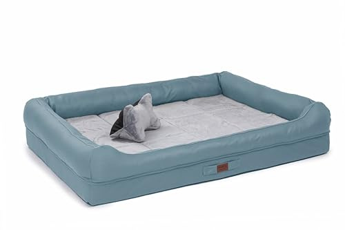 RAIKOU Hundebett mit abnehmbarem Kissen, gepolstert und waschbar – Schlafplatz, Hundekissen, Hundesofa, Hundematte - Hochwertiges Tierbett für Ihren treuen Begleiter. (Blau,100 * 80 * 9cm)