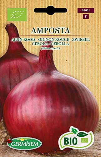 Germisem Orgánica Amposta Semillas de Cebolla 2 g (ECBIO1001)