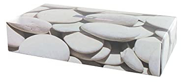 Boîte de 100 mouchoirs TECHLINE 2 plis blancs