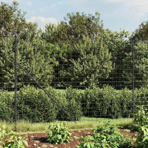 Iiaky Maschendrahtzaun 180cm höhe Maschendrahtzaun Komplettset 1.4 x 25m Maschendrahtzaun Set anthrazit Gartenzaun Set Zaunset-Anthrazit-1.8 x 25 m