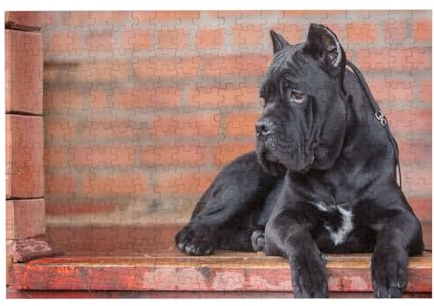 300-teiliges Puzzle mit Cane Corso-Motiven (große Schwarze Hunde) in Einer Verpackungsbox für Erwachsene – Holzpuzzle