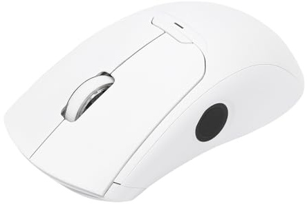 Goshyda Drahtlose Maus mit Fingerabdruckleser, 2,4 G Bluetooth 5.0 USB-Fingerabdruck-Maus-Unterstützung für 7 8 10 11 Hallo für Ubuntu 22