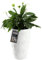 KADAX Pot de Fleurs Haut, Jardinière en Plastique de Grande Taille avec Motif Moderne pour Sublimer Votre Intérieur ou Extérieur, Bac à Fleur (Blanc, 48.5 cm)