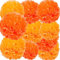 We Moment Zone 12 Stück Papier Pompons Set,Orange Tissue Pom Poms Papier für Hochzeit,Geburtstag,Party- 30,5 cm, 25,4 cm