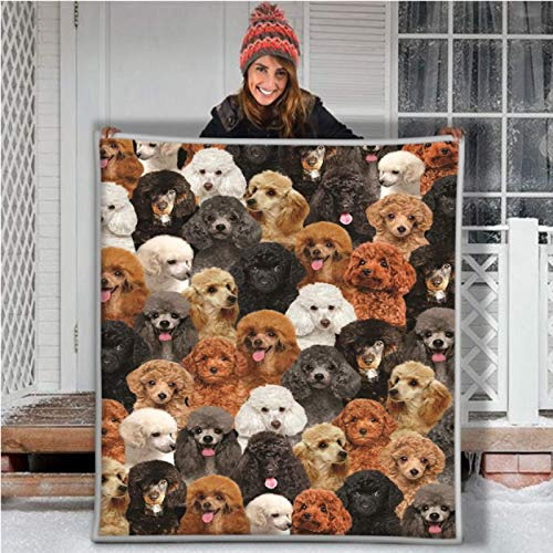 RKZM Pudel Lovely Animal Dog 3D Fleece Decke Quilt Throw Blanket Sherpa Decke zu meiner Familie Sohn Tochter Flauschige Bettwäsche 150 * 200cm