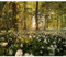 decomonkey - Papier Peint Panoramique Adhésif Foret Nature 294x210 cm - Stickers Muraux Chambre Déco XXL Autocollant - Jaune gris marron vert - Des arbres fleurs forêt feuilles nature paysage