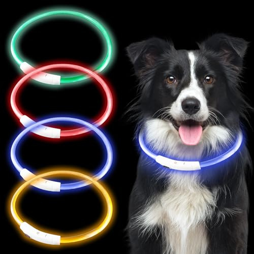 4 Stück USB Leuchthalsband Hund, 3 Blitzmodi Leuchtendes Hundehalsband Wiederaufladbar, Längenverstellbares LED-Halsband Wasserdicht Hohe Sichtbarkeit für Mittlere Hunde (Rot, Gelb, Blau, Grün, L)