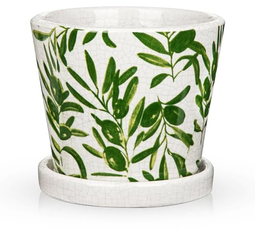 Oairse 14cm Ceramic Plant Pot with Drainage Hole & Saucer, Green and White Ceramic Planters Decorative Indoor Flower Pot for Home, Office & Garden Outdoor Decor