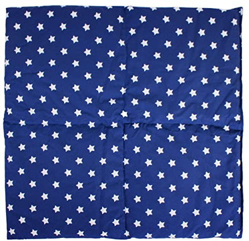 Kirschkernkissen 40x40cm 4-Kammer groß Sterne-blau - Wärmekissen - Körnerkissen