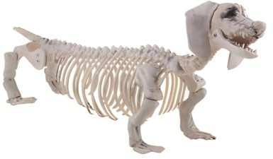 Horror-Shop Kunststoff Dackel Hundeskelett als Halloween Dekoration