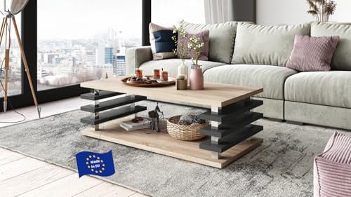 Carl Svensson Couchtisch DC-3 Sonoma Eiche / Anthrazit matt 120x60cm mit Ablage modern stabil vielseitig Wohnzimmertisch Beistelltisch Sofatisch Zeitloses platzsparend robust Wohnzimmer ohne Rollen