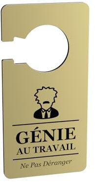 Panneau de Porte Humoristique 'Génie au Travail, Ne Pas Déranger' avec Illustration Inspirée par Einstein - Cadeau Original et Amusant (Or)