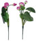 LUOEM 2 Stücke Künstliche Lotus Lotusblume Schwimmende Seerose Lotusblüte Lotusblatt Dekostecker Kunstblumen Blumenstecker Kunstpflanzen für Pool Teich Garten Deko Stecker