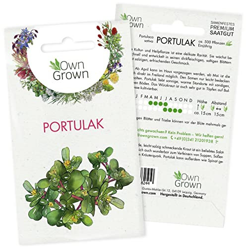 Portulak Samen: Portulak Saatgut zur Anzucht von 500 Kräuter Pflanzen – Wildkräuter Samen – Kräuter Saatgut – Samen Kräuter Pflanze – OwnGrown Seeds