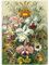 MyPuzzle Orchidee - Kunstformen der Natur, Vintage Art Poster, Ernst Haeckel - Premium 1000 Teile Puzzle - MyPuzzle Sonderkollektion von Havana Puzzle Company