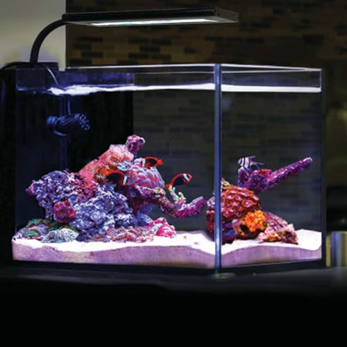 CURRENT Orbit Marine Nano LED 16 Watt Reef LED Salzwasser Marine Aquarium Korallenlicht mit Dimmung, Mondlicht, Wolkenabdeckung & Beleuchtung Storm Clip On kleines Aquarium mit Halterung (4095)