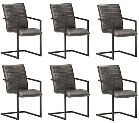 Owoxanthellate Freischwinger 6er Set Grau Echtleder Retro Esszimmerstühle 51x56x91 cm Robuste Eisenrahmen Gepolstert für Esszimmer Küche Wohnzimmer