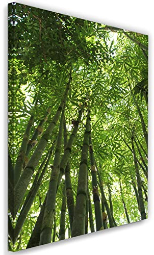 Feeby Bild auf Vlies Leinwand Exotik Tropen Bambus 30x45 cm Kunstdruck Modern Wandbilder Deko Flur Wohnzimmer Bäume Natur Wald Pflanzen Grün