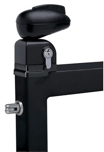 LOCINOX SNA60105 Serrure Twist pour portillon de Piscine Noir ral 9005-TWIST 40 9005