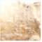 Bilderwelten Fototapete Gräser 192cm x 192cm Blumen Modern Natur Blumentapete Vliestapete Tapete Wanddeko Ideen Wohnzimmer Schlafzimmer Küche