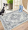 Capslpad Zerbino per interni 60 x 90 cm, antiscivolo, lavabile in lavatrice, medaglione vintage, morbido interno per ingresso, porta anteriore e posteriore, scarpe e zampe bagnate fangose, grigio