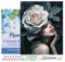 Figured'Art Peinture par Numéro Adulte avec Cadre Femme à la Rose - Activité Manuelle Kit de Loisir Créatif DIY Numéro d'Art Complet - 40x50cm toile tendue sur châssis