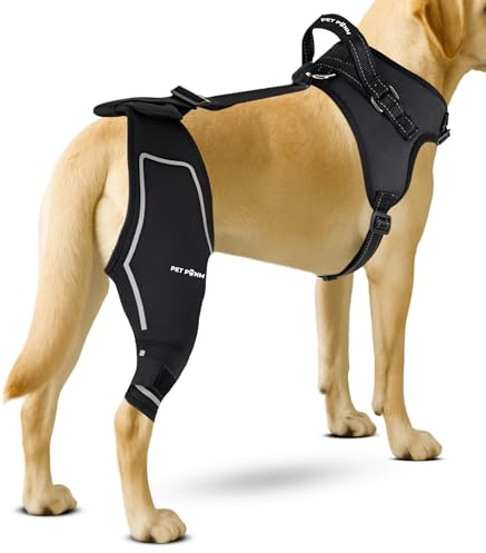 Petpanm Verstellbare Hunde-Kniebandage, rechtes Hinterbein mit integriertem Geschirr, Premium-Unterstützung bei gerissenem ACL, Verstauchungen und Zerrungen, verbessert die Mobilität, bequemes Neopren