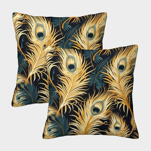 XIAOCHENG Feder Kissenhülle 2er Set Kissenbezüge Zierkissen für Schlafzimmer Sofa Kissenhülle 40x40cm
