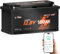 Litime 12,8V 100Ah H190 Bluetooth LiFePO4 Batterie, Low-Temp-Abschaltschutz Tiefzyklus Lithium Batterie, Max.15000 Zyklen 10 Jahre Lebensdauer Batterie, DIN H8 L5 Größe
