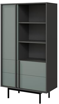 Mirjan24 Standregal Agova 2S WK04 – Bücherregal mit Tür, 2 Schubladen, 3 Regalen und 3 Einlegeböden, Bücherschrank, Aufbewahrungsregal (Anthrazit/Aloe)