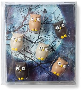 Kraftheld | 6er Set Deko-Magnete Owl | Eulen-Magnete bunt, dekorativ, farbenfroh | Kühlschrankmagnete in Form von Tieren | Magnet-Deko als Geschenk
