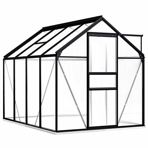 Festnight Gewächshaus mit Fundament Aluminium 190x250x202 cm Gartengewächshaus Treibhaus Garten Frühbeet Gartenhaus Tomatenhaus Pflanzenhaus, Anthrazit mit Fundamentrahmen