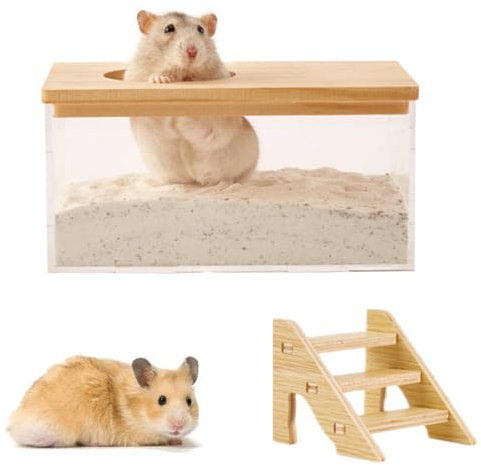 bangminda Maison de Toilette Hamster Salle de Bain pour Hamster Conteneur de Bain de Sable pour Petits Animaux Salle Bain Hamster Acrylique Transparente Salle de Douche pour Hamster Gerbille Rats