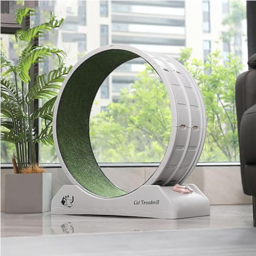 Katzenlaufrad, Laufrad Katze großen Durchmesser für Indoor-Katzen, Katze interaktives Spielzeug, Interaktives Katzenspielzeug für Running/Walking/Training,Grey