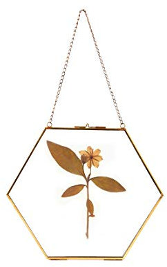 C&Z Hängender Glasrahmen für gepresste Blumen, getrocknete Blätter, Pflanzen, Gold, sechseckig, doppelseitig, Glas, schwimmender Rahmen für Kunstwerke, Exemplare, Clip-Wanddekoration, groß