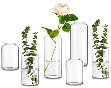 Handmade Glasvase Zylinder Tischdeko Modern: 6er Glasseam Blumen Vase Glas Rund Vasen Deko Set Schmal Blumenvase Kleine Tulpenvase Rosenvase Glaszylinder für Hochzeit Wohnzimmer Tulpen Rose Pampasgras