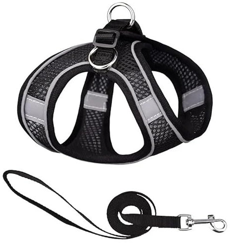Hundegeschirr mit Leine, Step-in Weich Gepolstert Geschirr Reflektierend, Air-Mesh Atmungsaktiv Brustgeschirr, Welpengeschirr für Kleine Hunde, Haustiere, Welpen, Katzen (schwarz, Größe: S)