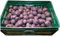 BAMELO® Rote Beete frische rote Rübe Kiste 5 Kg
