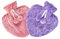 K Collection Pack of 2 Large Heart Shaped Hot Water Bottle - Natural Rubber with Faux Fur Covers - 2 x 1 Litre Ribbed Hot Water Bottles with Plush Covers (Red/Purple)