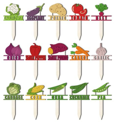 arricraft 15 Pcs Garden Vegetable Plant Markers, 15 Styles Colorful Wooden Hollow Signs Fruit Plants Tags for Indoor Outdoor Greenhouse Potted Seed Herbs Patio Supplies 12x6.5cm