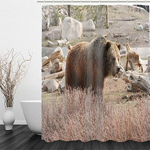 Chickw1 Duschvorhang Wasserdicht Antischimmel, Duschvorhänge mit 3D Motiv Badezimmer Polyester Waschbar Bad Vorhang mit 12 Duschvorhangringe Badewanne Vorhang (Bär,200x240cm)