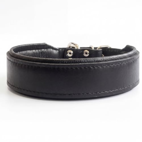 Bestia Gepolstertes Echtleder Hundehalsband | Größe M- Halsumfang von 35 bis 42,5 cm/ 5 cm Breite, für große und mittelgroße Hunde