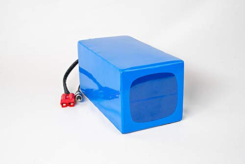 LiFePO4 Akku 24V 48Ah Lithium-Eisen-Phosphat Batterie für Camping Boot Solar Caravan Wohnwagen