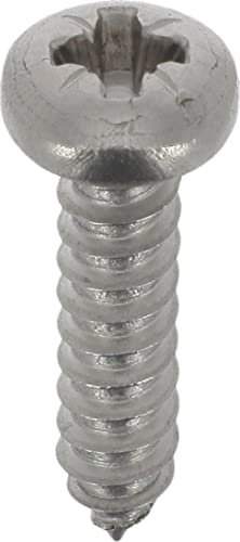 Tornillo de chapa de cabeza cilíndrica abombada Pozidrive, 4,2 mm x 19 mm, DIN 7981, Zinc Inox, juego de 20