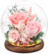 FAYODO Ewige Rose im Glas mit Licht, Konservierte Blumen als Geschenke für Frauen Mama Oma Freundin zum Muttertag Geburtstag Weihnachten Jahrestag Valentinstag Erntedankfest-Rosa