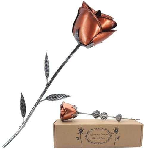 Rifyta Iron 6th 11th Anniversary Steel Gifts Iron for Him/Her Metal Flowers Handcrafted Eternal Rose Birthday Gifts for Women for Women (red)