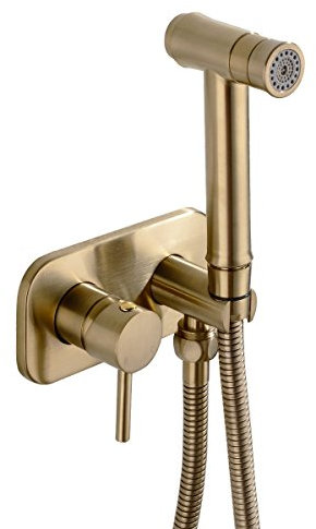 TRUSTMI Pulvérisateurs de bidet en laiton à 2 réglages Mitigeur encastré pour chaud et froid, or brossé