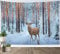 LB Wandteppich Schnee im Winter Wandtuch Hirsche im Wald Wandbehang Baum mit Schneeflocke Tapisserie für Wohnzimmer Schlafzimmer Wohnheim Wanddeko,200Bx150H cm