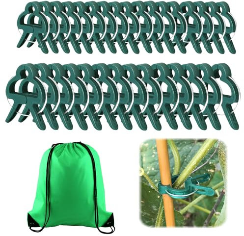 Jisrcha 60 Clips pour Plantes - Pinces À Plantes Grimpantes pour Tomates, Rosiers, Concombres et Autres Plantes Grimpantes, Très Facile À Utiliser pour(30 Grandes + 30 Petites)